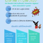 Centro estivo 2022-0001